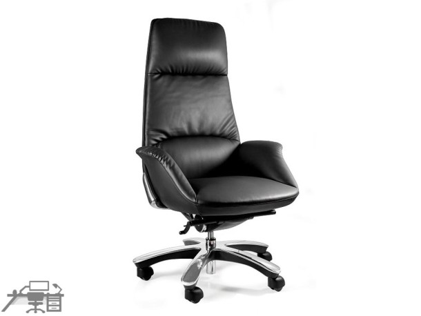 Scaun ergonomic managerial Patron