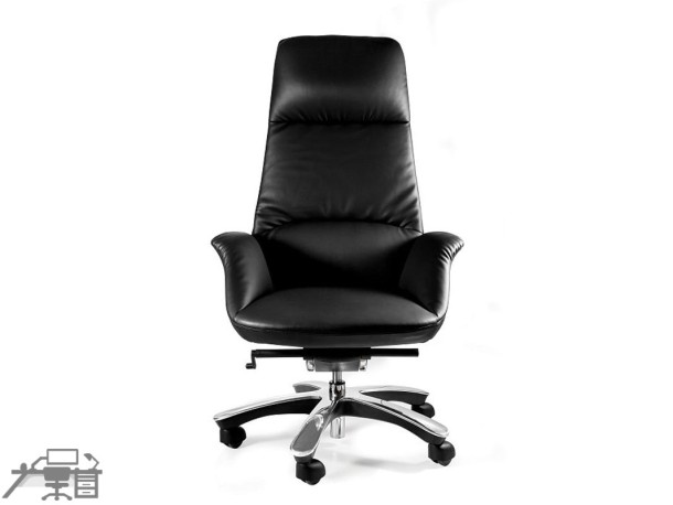 Scaun ergonomic managerial Patron