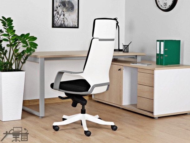 Scaun ergonomic managerial Apollo