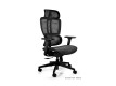 Scaun ergonomic operational DEAL